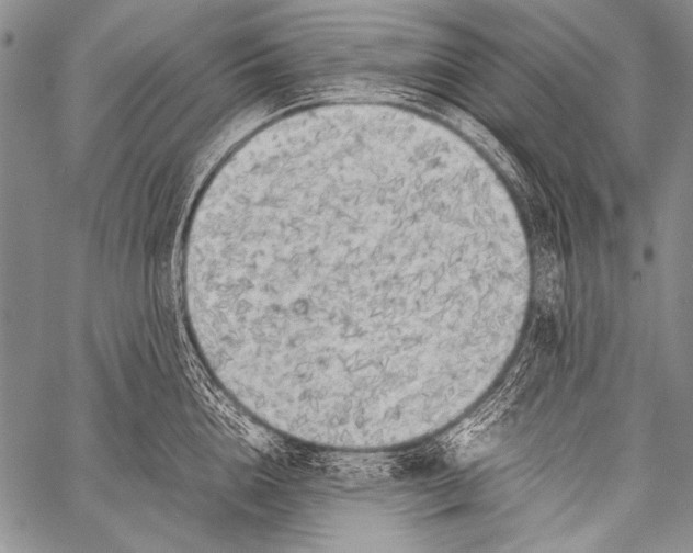 X0000057560856200510141347