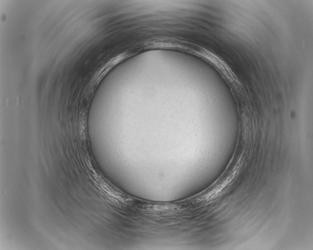X0000057560857200510141347