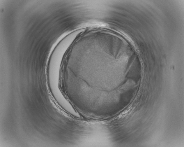 X0000057560864200510141347