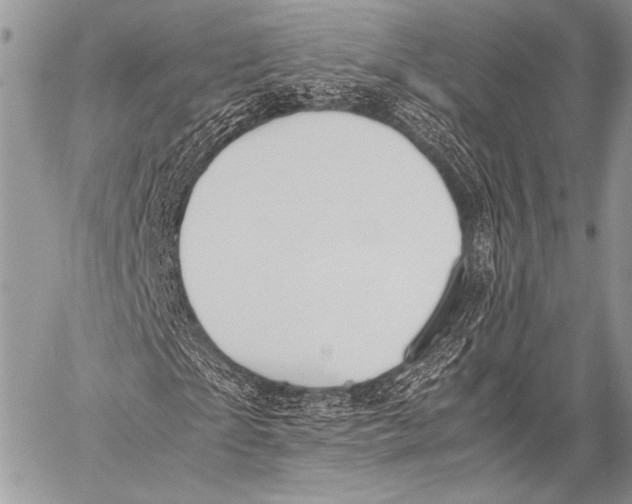 X0000057560865200510141346