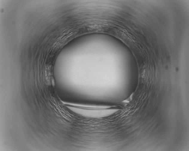 X0000057560868200510141346