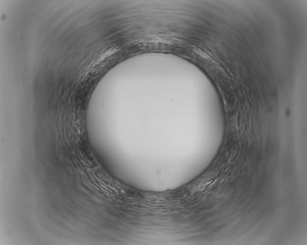 X0000057560870200510141346