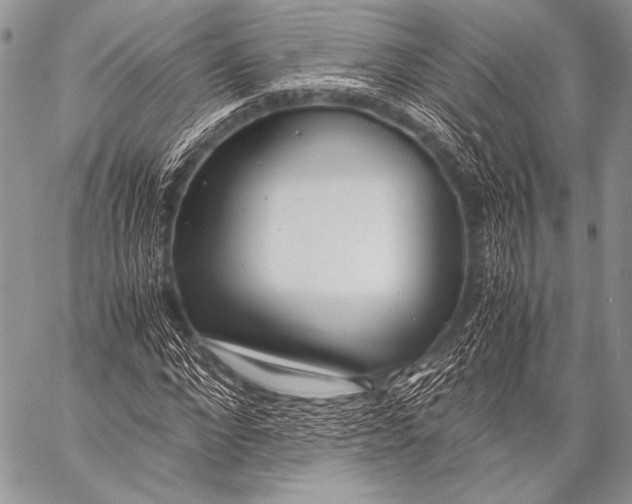 X0000057560872200510141346