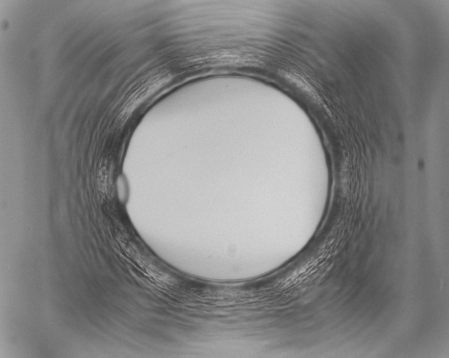 X0000057560873200510141346