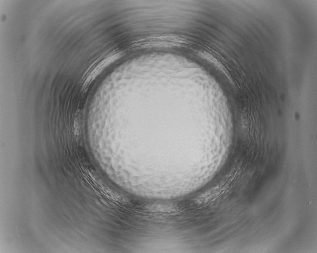 X0000057560874200510141346