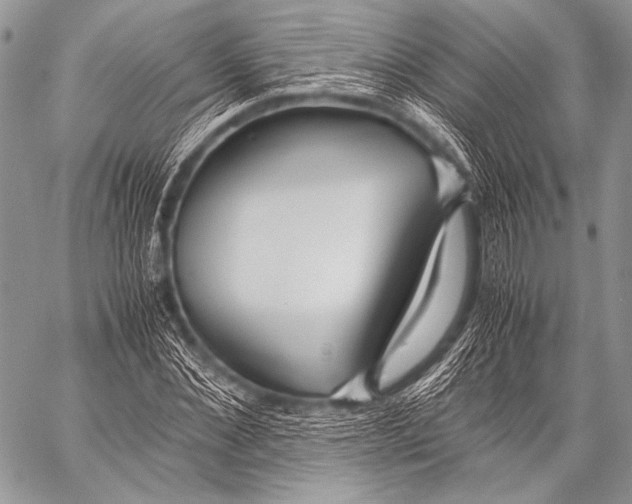 X0000057560876200510141346