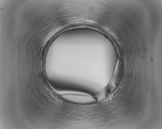 X0000057560877200510141346