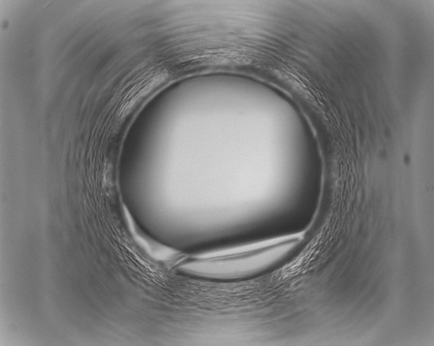 X0000057560881200510141346