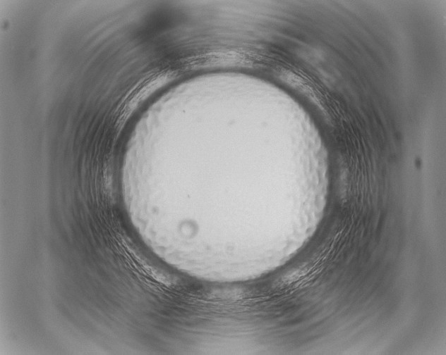 X0000057560882200510141346