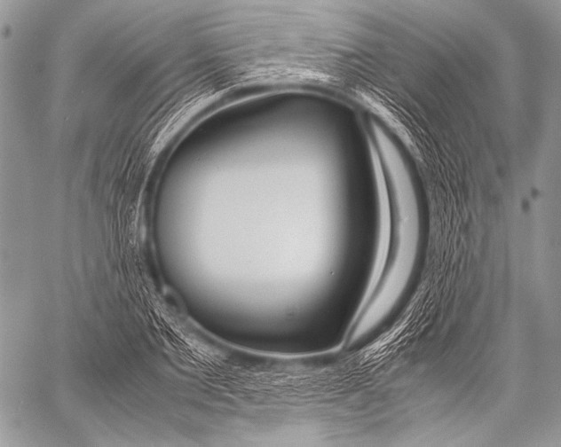 X0000057560885200510141346