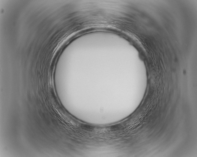 X0000057560887200510141346
