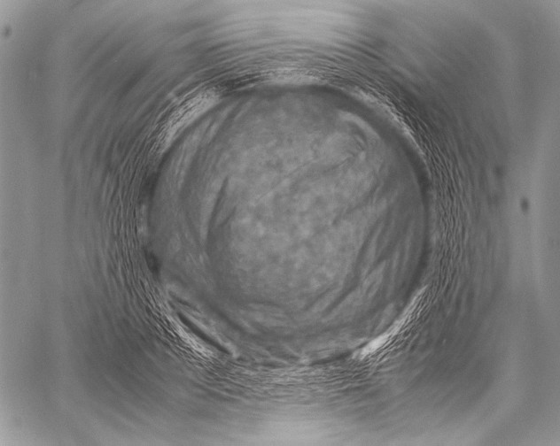 X0000057560889200510141346