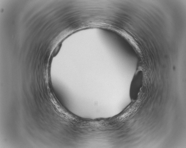 X0000057560904200510141345