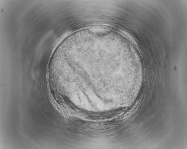 X0000057560907200510141345