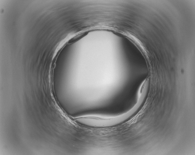 X0000057560910200510141345