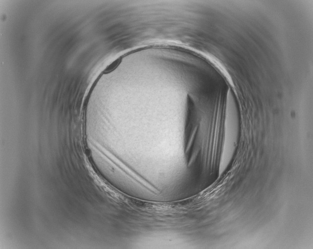 X0000057560911200510141345