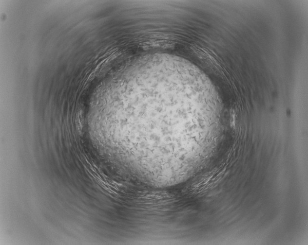 X0000057560915200510141345