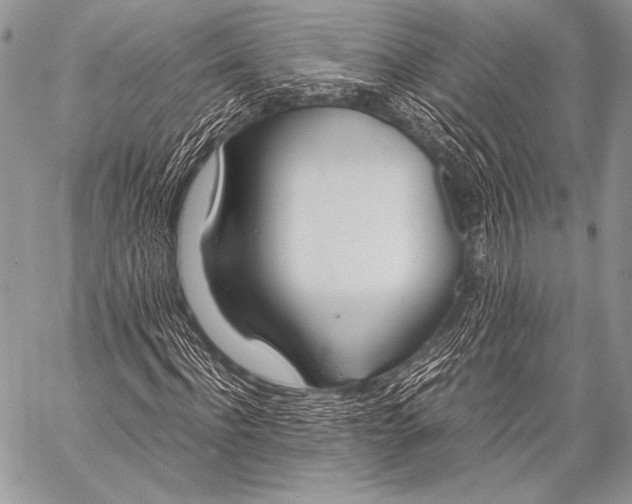 X0000057560916200510141345