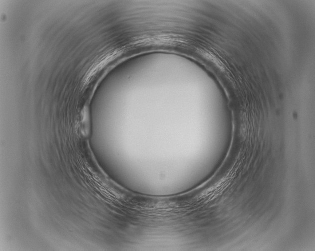 X0000057560922200510141345