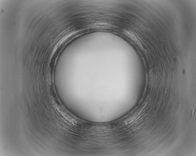 X0000057560931200510141345