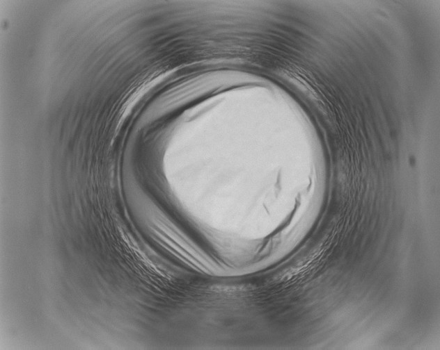 X0000057560933200510141345