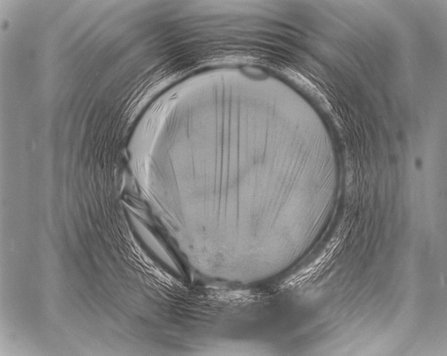 X0000057560945200510141345