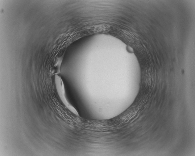 X0000057560962200510141344