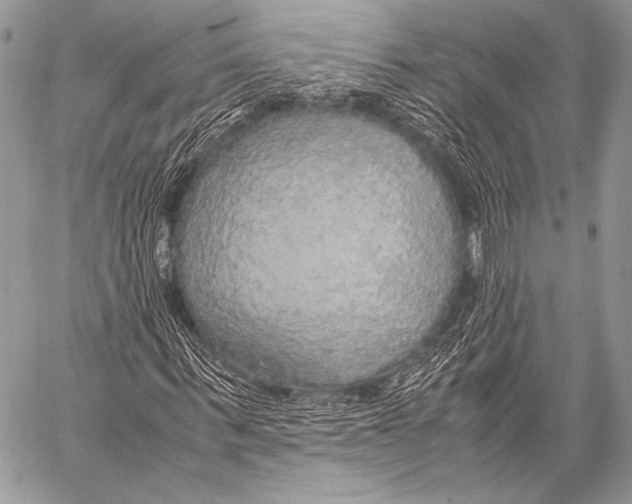 X0000057560963200510141344