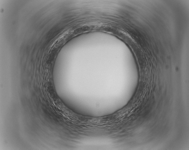 X0000057560967200510141344