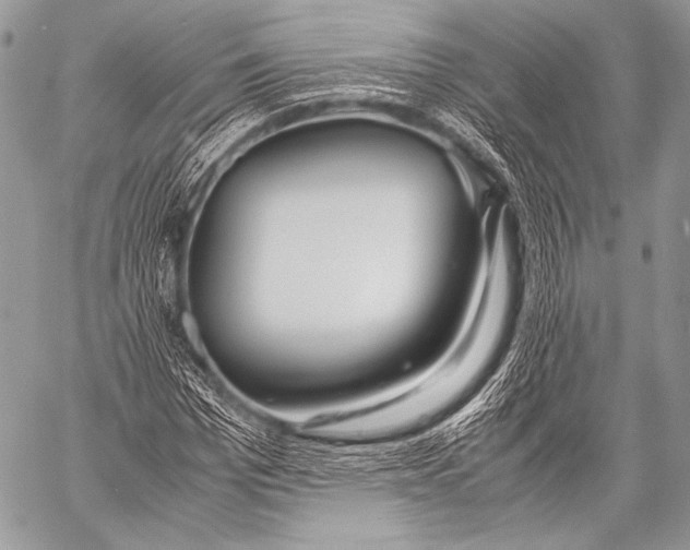 X0000057560969200510141344