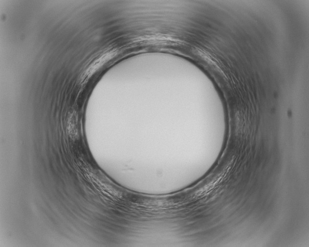 X0000057560970200510141344