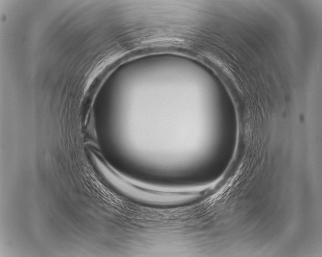 X0000057560973200510141344