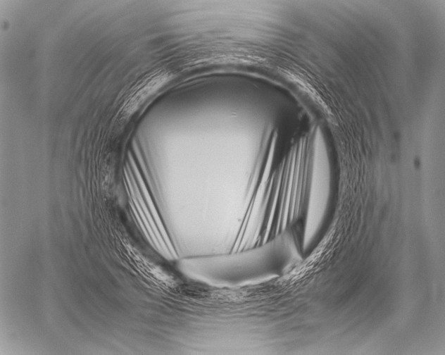 X0000057560977200510141344