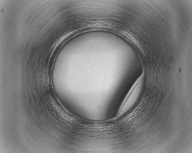 X0000057560980200510141344