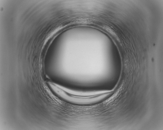 X0000057560981200510141344