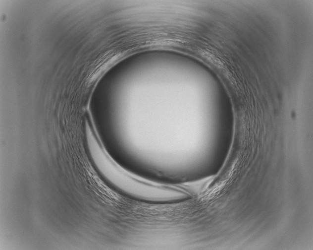 X0000057560985200510141344