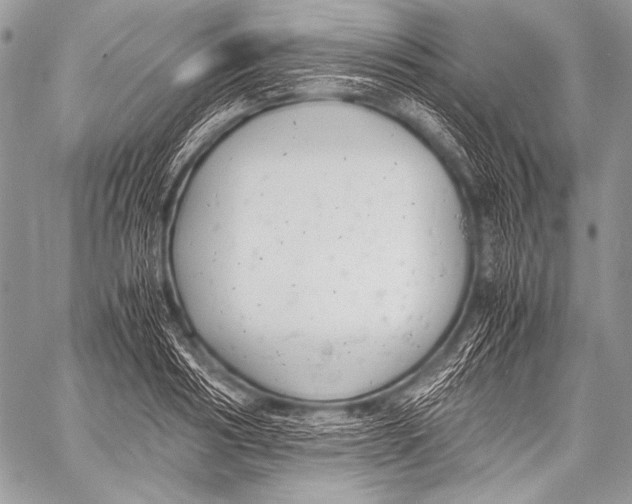 X0000057560986200510141344