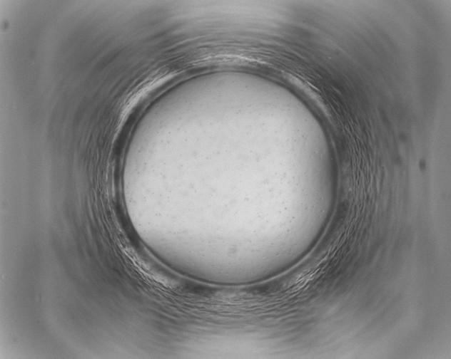 X0000057560987200510141344