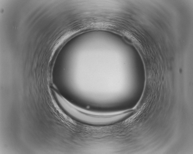 X0000057560989200510141344