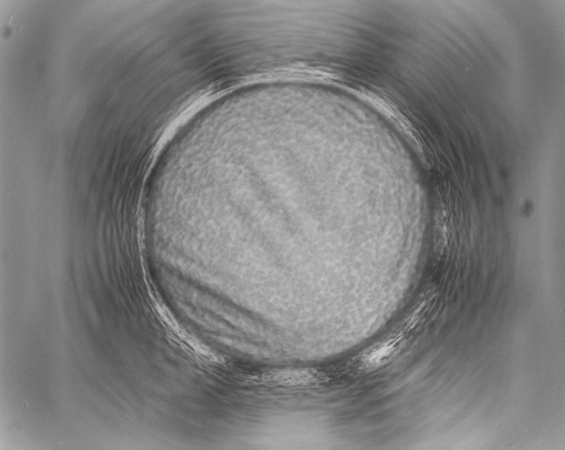 X0000057560998200510141344