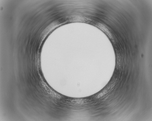 X0000057561000200510141344