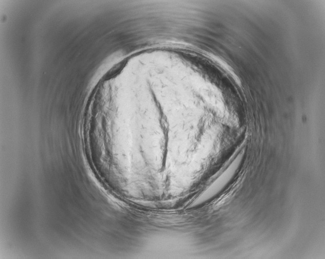 X0000057561007200510141344