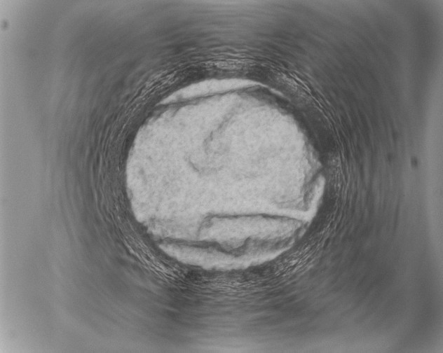 X0000057561009200510141343