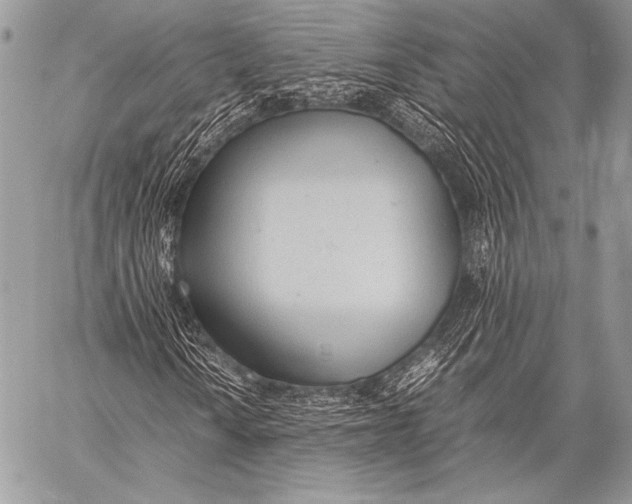 X0000057561010200510141343