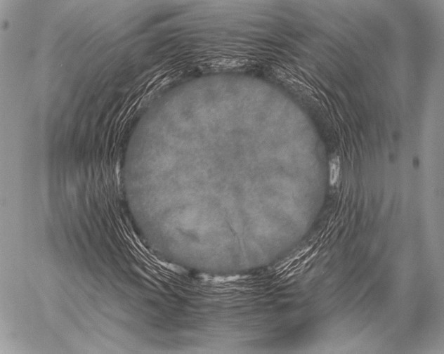 X0000057561011200510141343