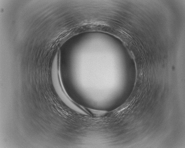X0000057561014200510141343