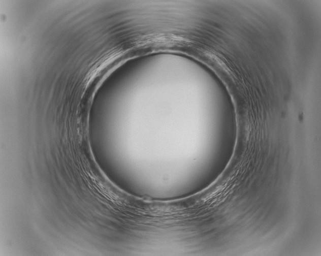X0000057561018200510141343