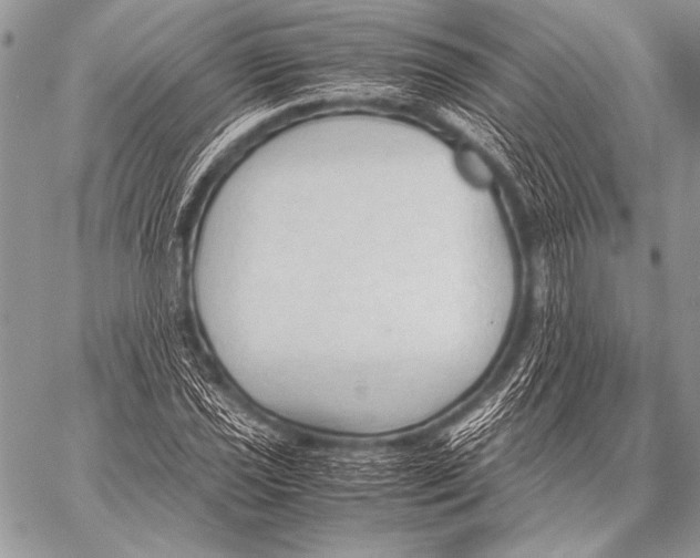 X0000057561021200510141343