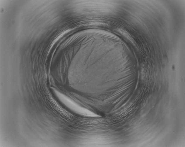 X0000057561024200510141343