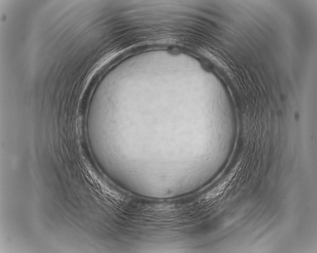 X0000057561029200510141343
